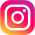 insta icon1